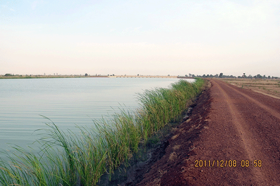 Construction of 40 Km Canals and Bituminous Roads in Mali
